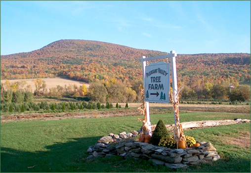 Pleasant Valley Tree Farm