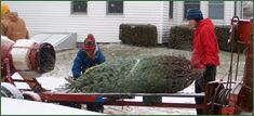 Pleasant Valley Tree Farm